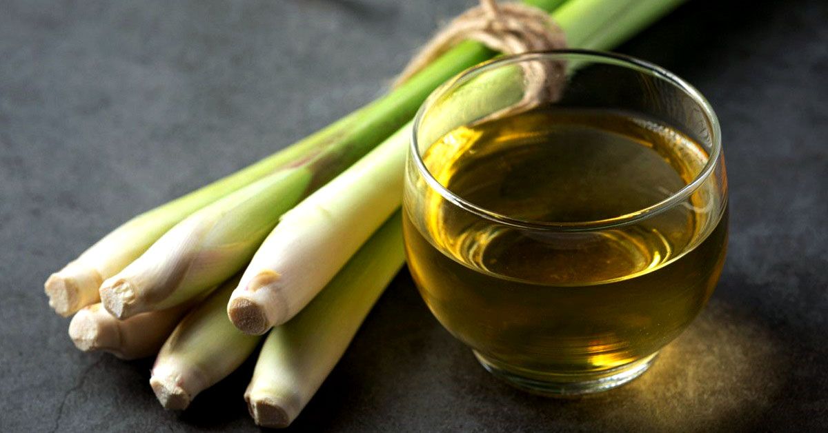 Teh Serai Minuman Nikmat Banyak Manfaat