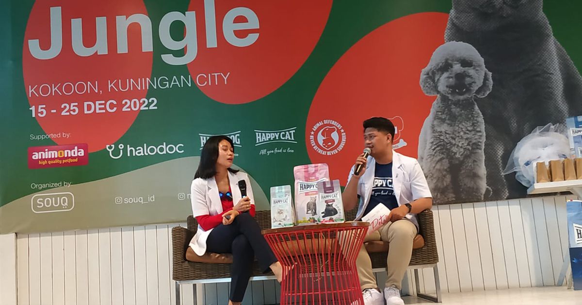 Waspada! Salah Beri Jenis Makanan Sebabkan FLUTD Pada Kucing