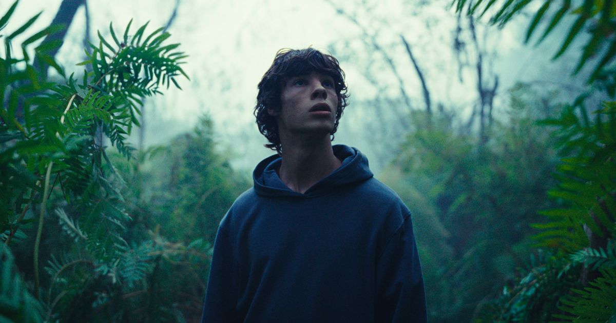 THE ANIMAL KINGDOM, Sabar Menanti Akhir Cerita