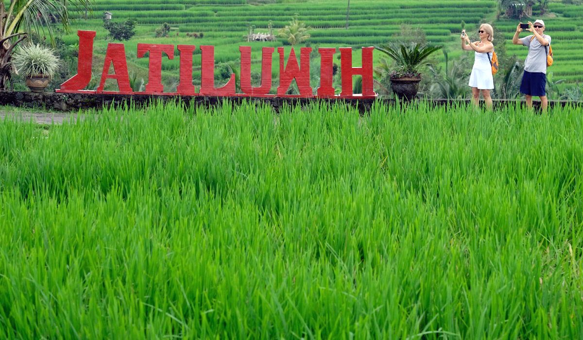 Delegasi World Water Forum Ke 10 Akan Kunjungi Desa Jatiluwih Di Bali