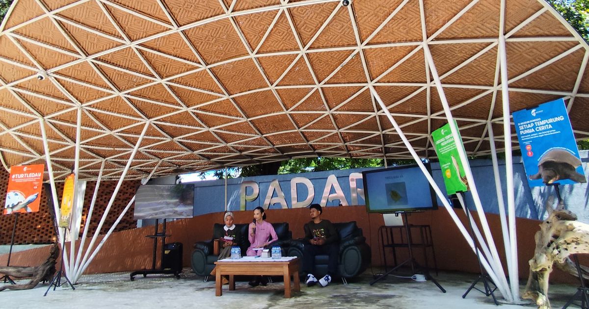 Lindungi Tempurung Nusantara: Seruan untuk Menyayangi dan Melindungi Kura-Kura Indonesia