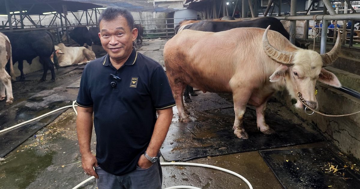 Kisah Sukses Haji Doni: Dari 2 Sapi Menjadi Mall Hewan Qurban Favorit Artis di Depok