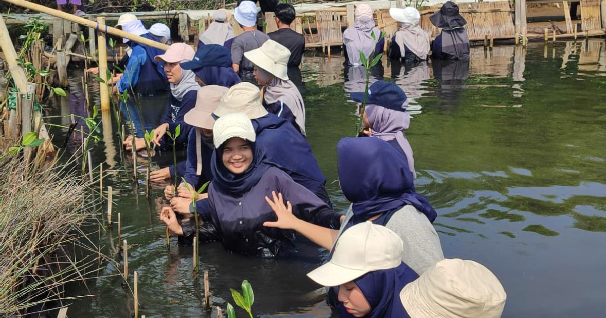 Kolaborasi Paragon Corp & Bumitorri Tanam Mangrove di Tanjung Pasir, Dorong Aksi Nyata Jaga Lingkungan