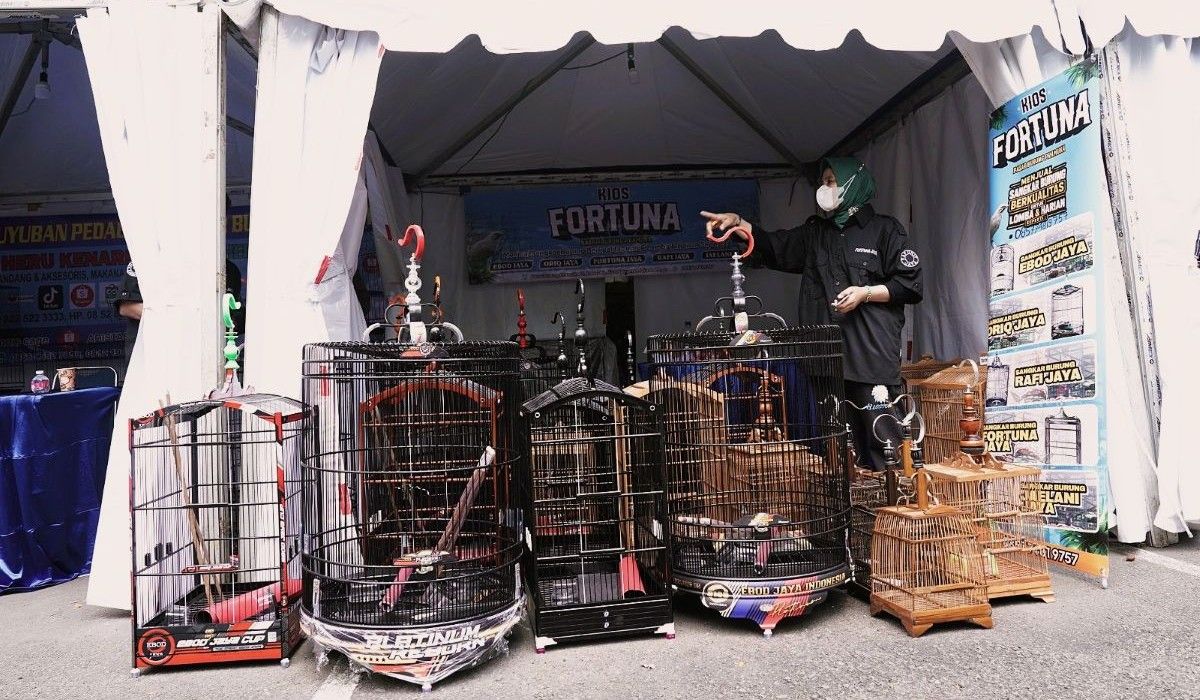 Sangkar Lokal Jadi Mahakarya di Festival Burung Kicau