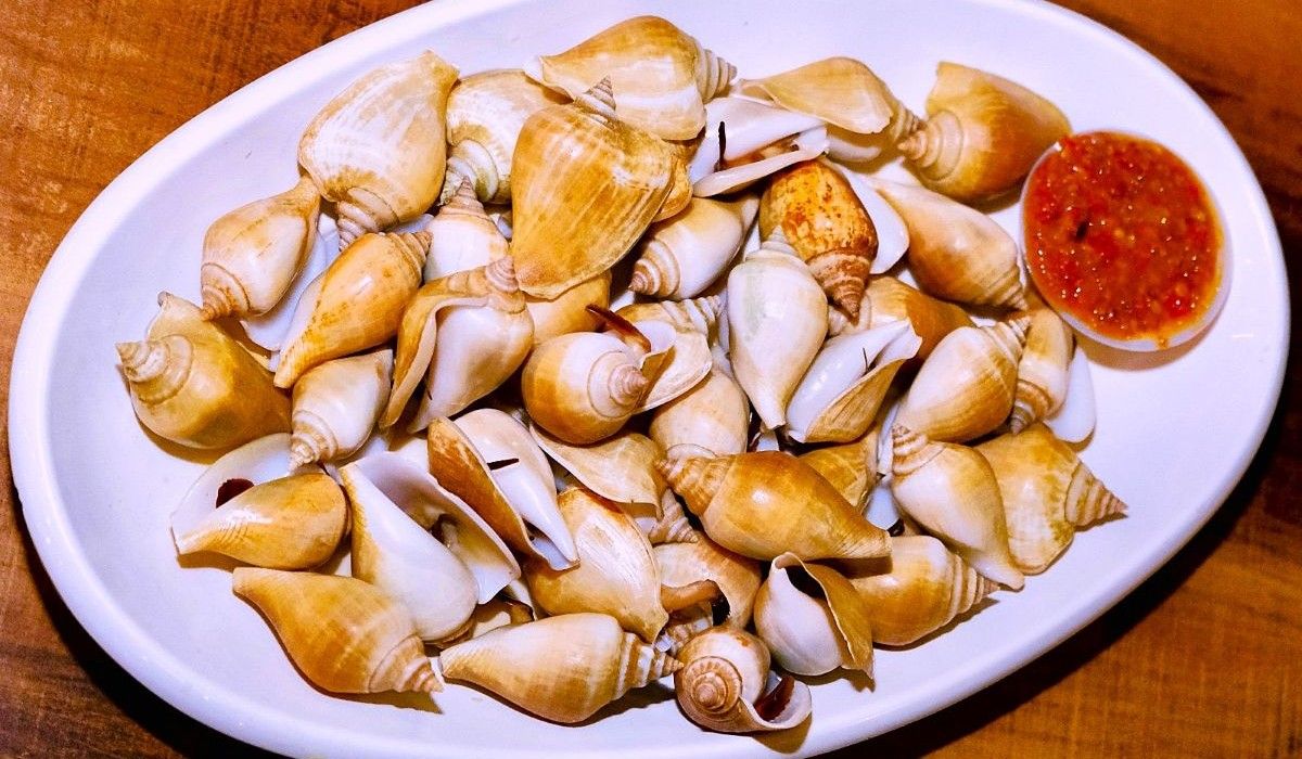 Gonggong, Warisan Kuliner Bahari Khas Kepulauan Riau