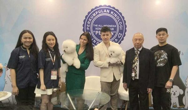 Calista Beatrice Ukir Sejarah di Dog Show Internasional, Anjing Bichon Frisé Lokal Raih Gelar Dunia